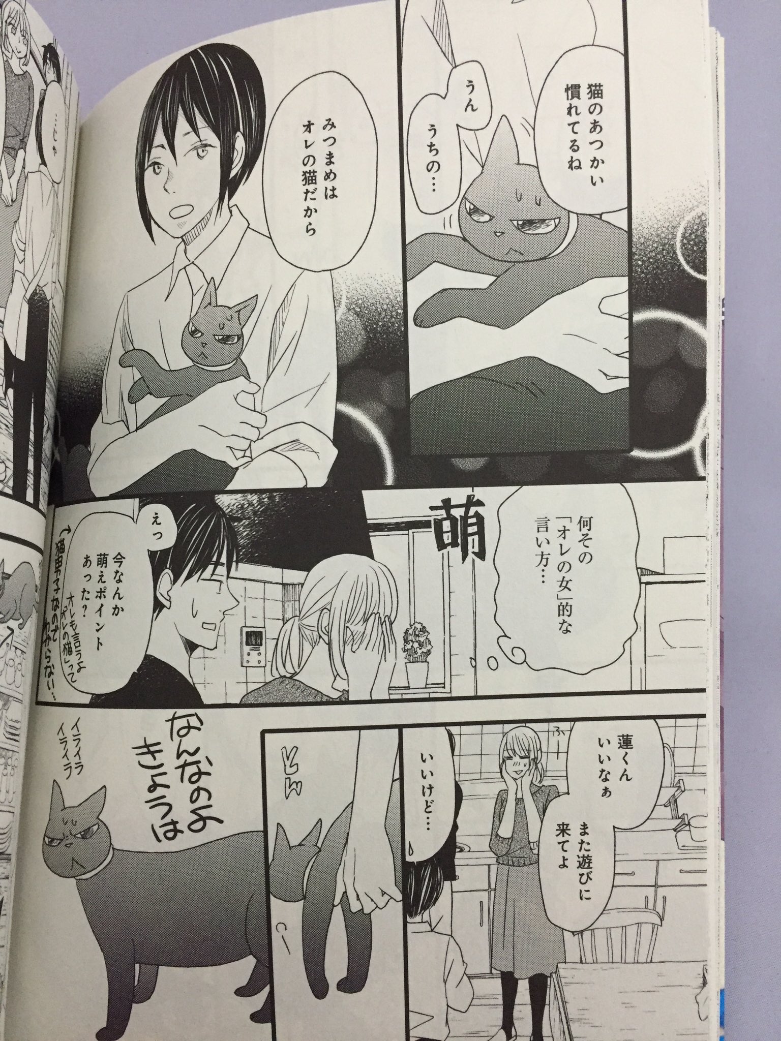 鋼兵 בטוויטר 吉川景都 猫とふたりの鎌倉手帖 2巻 新潮社 読む 前作 片桐くん家に から美穂子さんが増えることで一つのことに対して視線が増えているので飽きさせない ついでにウチの実家の猫の画像もペタリ 鋼兵 בטוויטר 吉川景都 猫とふたりの鎌倉手帖 2巻 新潮社 読む 前作 片桐くん家に から美穂子さんが増えることで一つのことに対して視線が増えているので飽きさせない ついでにウチの実家の猫の画像もペタリ