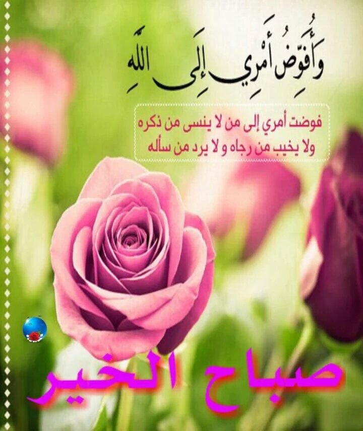 اللهم إنا نسألك صباحاً يملأ الأجساد عافيه والروح فرحاً اللهم أرحنا من هموم الدنيا وارزقنا التوفيق في أمورنا ..!