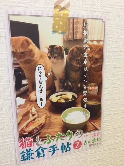 今日は「猫とふたりの鎌倉手帖」2巻の発売日です!なぜか今回のポップは我が家の猫の写真が使われている…。にゃうおんせーる! 