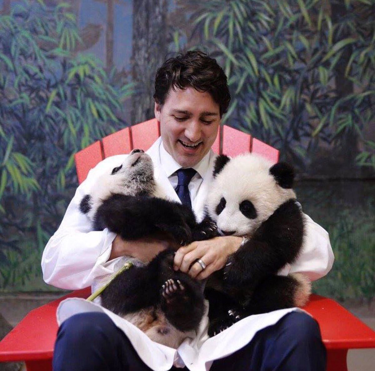 jmhilario's tweet photo. Meet #CanadianHope, #CanadianJoy and the #CanadianBae!! ๐๐๐ #panda https://t.co/sNFKCd2u7i