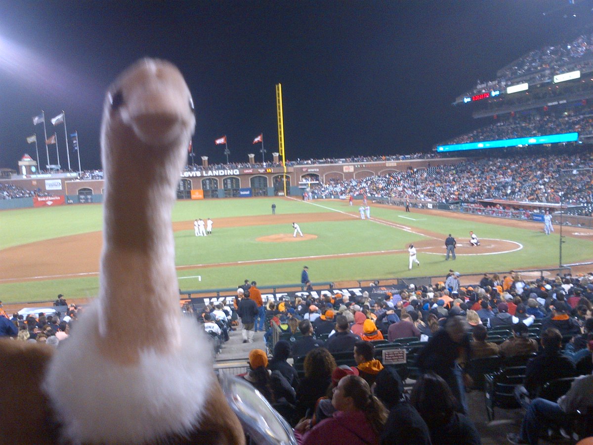 leftcoastbabe's tweet photo. @sportslarryknbr we have a giraffe, we lost a panda, now we have an ostrich. #Osich #Ostrichpower https://t.co/IjDJXZsE2r