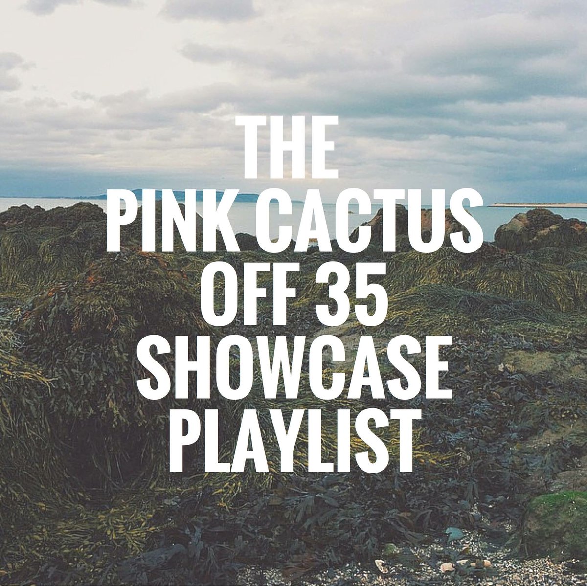 DentonStaged's tweet photo. Ready for a weekend full of music Check out the Pink Cactus Off 35 Showcase Playlist. #wddi 
https://t.co/HVM8ASHTAL https://t.co/gQHE79NCUW