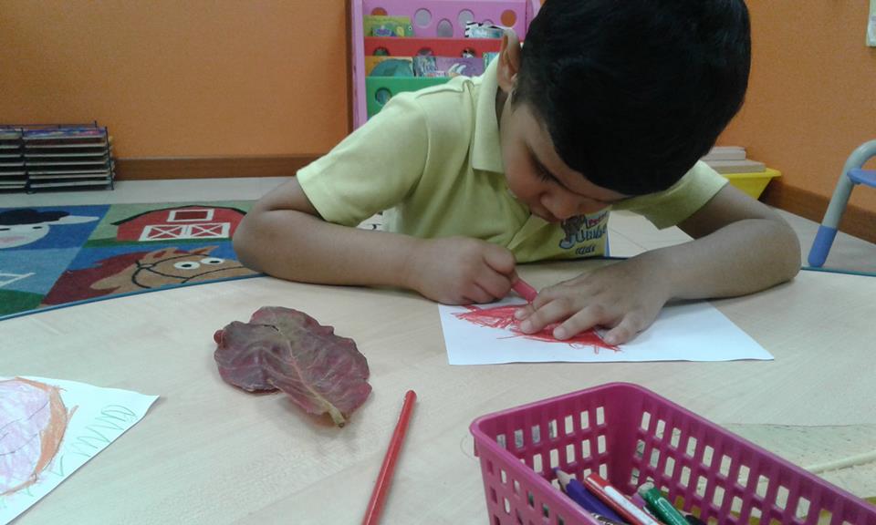 Podar-ORT tweet media