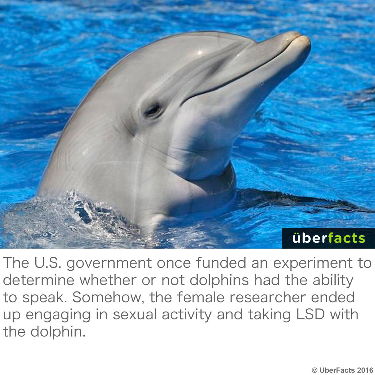UberFacts's tweet image. Well, that escalated quickly.