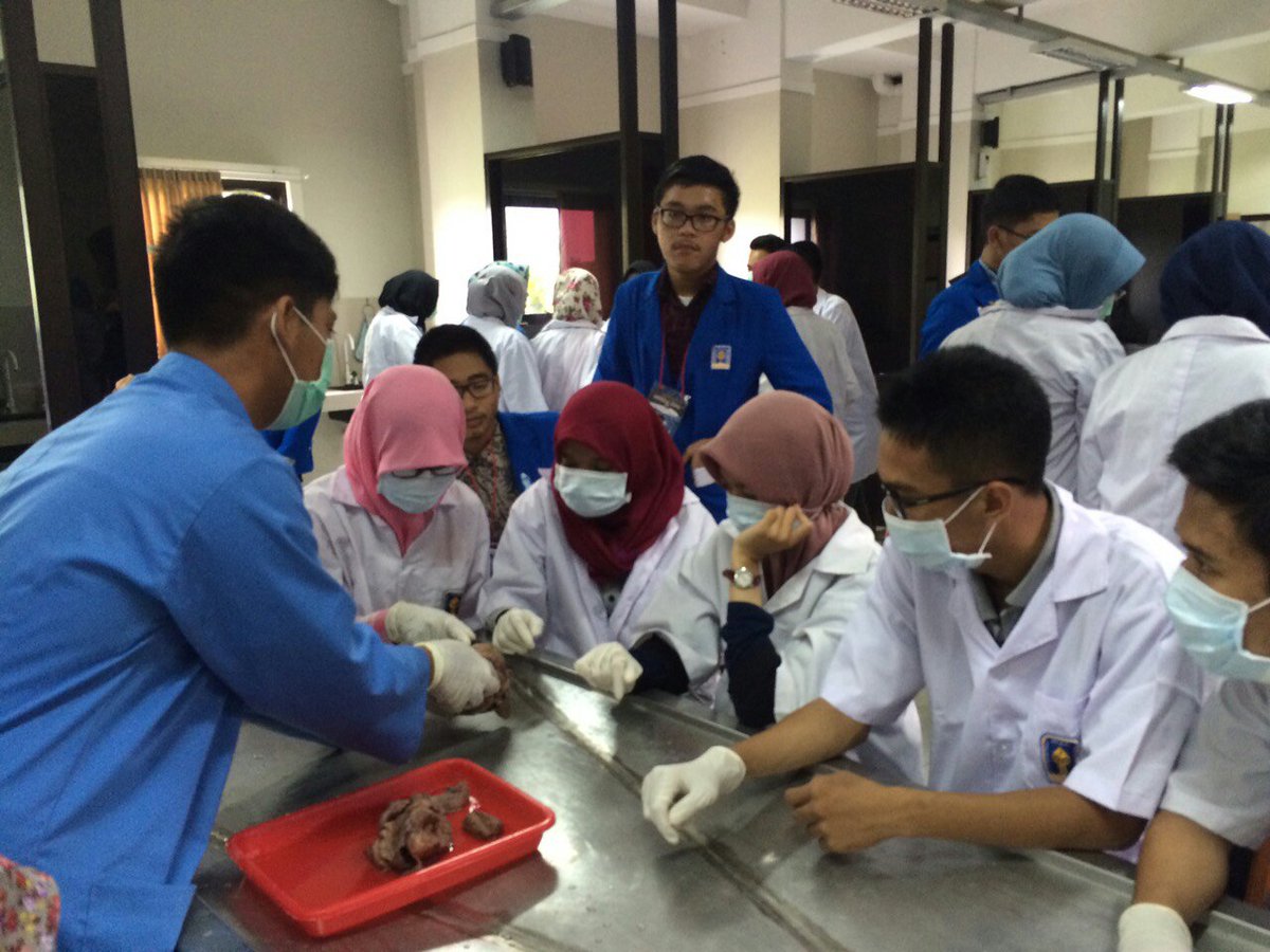 Tour de medica 
"Mortui vivos docent"
#medexfkuii2016