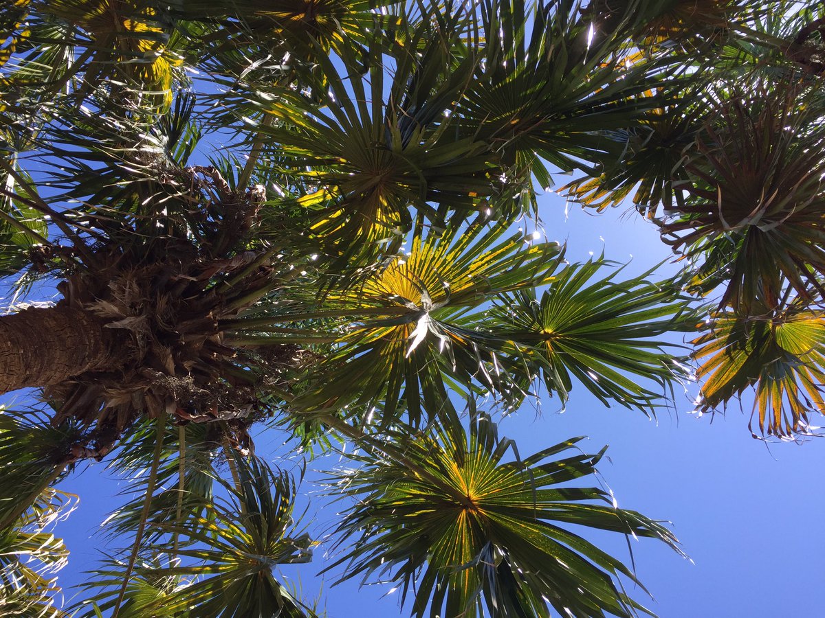 StephenJHunter1's tweet image. A great way to spend a Wednesday lunchtime... #manly #shouldbeworking