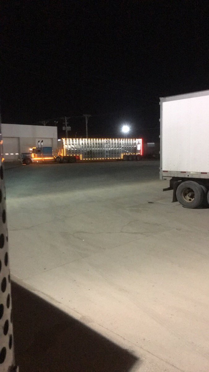 schneider244's tweet photo. #bigpimpin #bullrack https://t.co/uhrdbl6pjs
