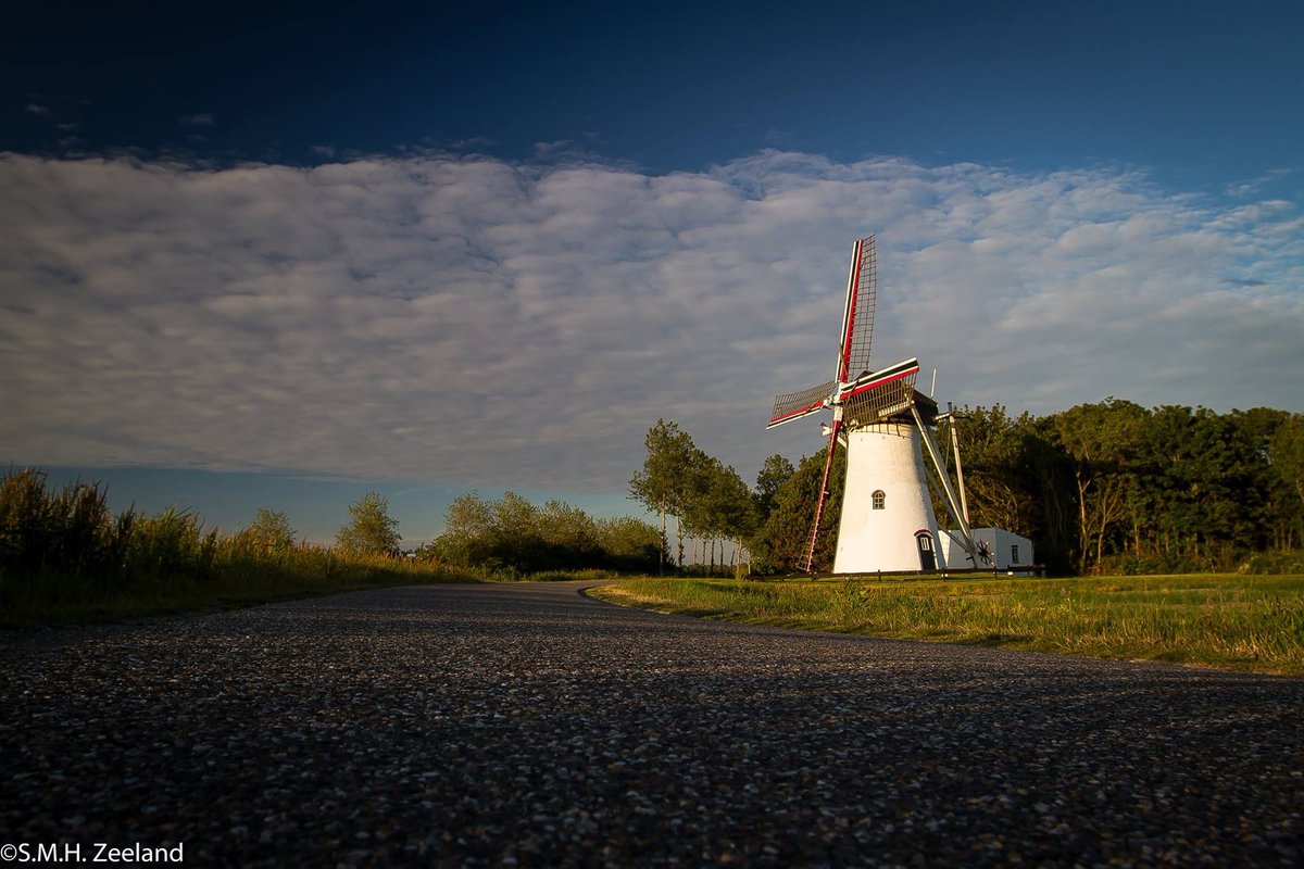 Havenlust's tweet image. @Beautifulgx Beautiful;-) #tulips #holland #zeeland #zierikzee #windmill #tulips_holland #flowers #yellow #red #pink
