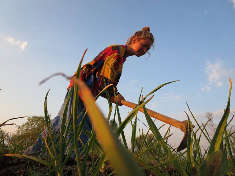 Hükümetin genç çiftçilere destek kararına, kırsala dönüşü tartışan gençler ne diyor? yesilgazete.org/blog/2016/03/0…