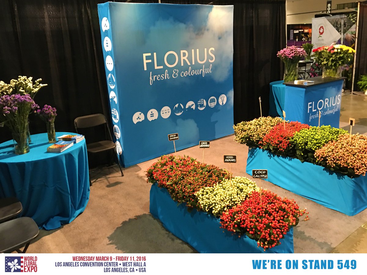 Our booth is up and looking fresh and absolutely colourful! We're on Stand 549! #WorldFloraExpo2016 #FloriusFlowers