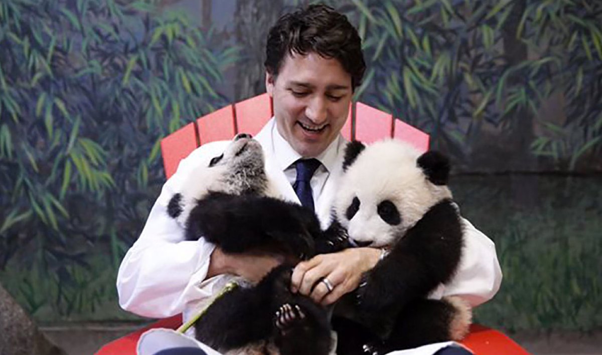 JdeQuebec's tweet image. CHRONIQUE: @JustinTrudeau, Panpan et les pandas (@sophiedurocher) 
journaldequebec.com/2016/03/09/jus…