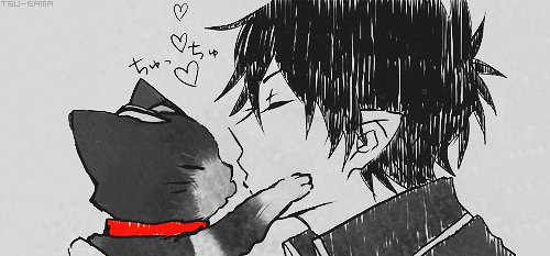 kisssing cat really .. hehe..heh.. yeah -_-