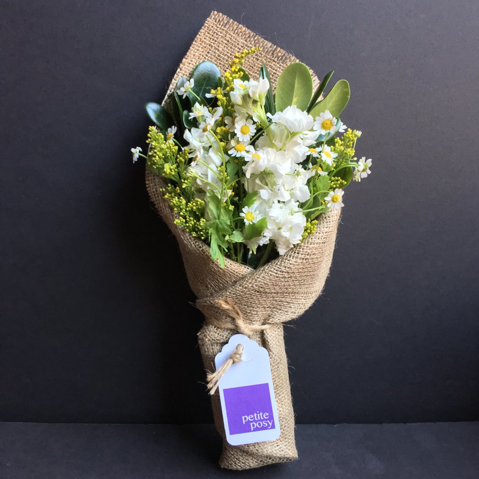 petiteposyny's tweet photo. Today's Posy: Camomile, Fragrant Stock, Solidaster and Green Pitt... #florist #manhattan  https://t.co/IZXYziCw7m https://t.co/oqnHApAfnY