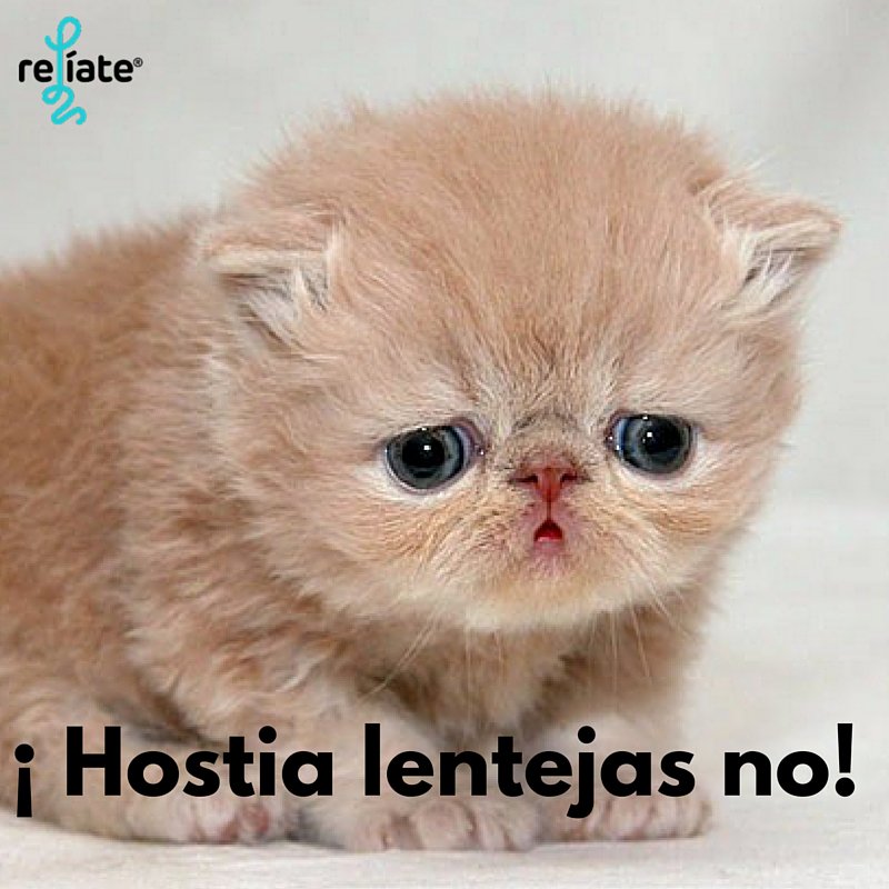 Cuando llegas a tu casa con más hambre que una garrapata en un peluche y hay lentejas #PorQue #Nosvemos #VayaTelita