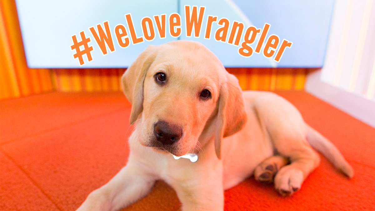 luv_yadi's tweet photo. "@TODAYshow: Tomorrow @ last day on TODAY. Noooooooooo.... #WeLoveWrangler https://t.co/NfIjbAvxl2" https://t.co/mzia5LYYnW
