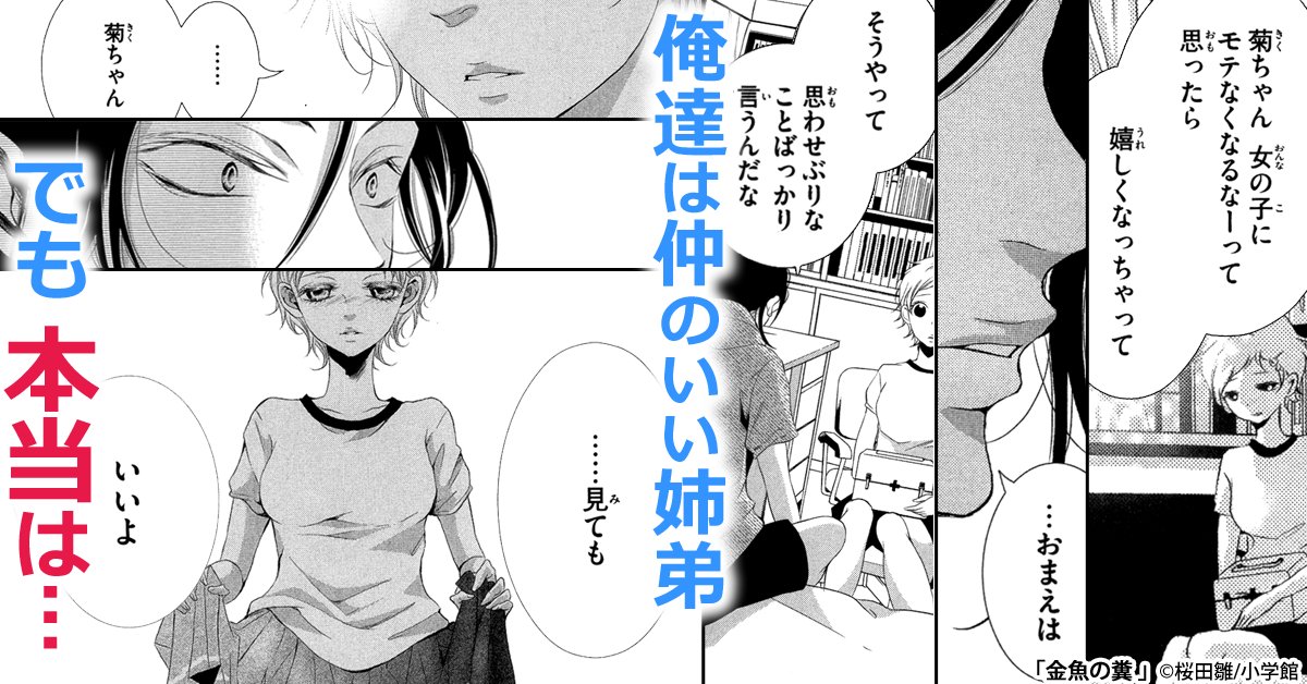 まんが王国 公式 いつでも最大50 還元 Twitter ನಲ ಲ 今だけ 1巻無料 金魚の糞 桜田雛 母を亡くした菊吉は叔母の家の養子となる 義理の姉で同い年の金魚に禁断の恋心を抱くようになる菊吉だが 金魚も菊吉のことを T Co Ioqlqauzae