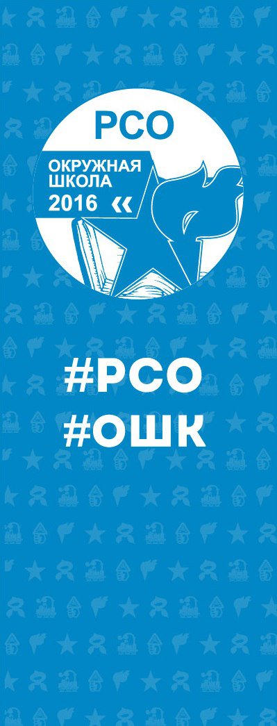 Активисты студенческих отрядов Пензенской области на Окружной школе командиров и комиссаров в г. Нижний Новгород.