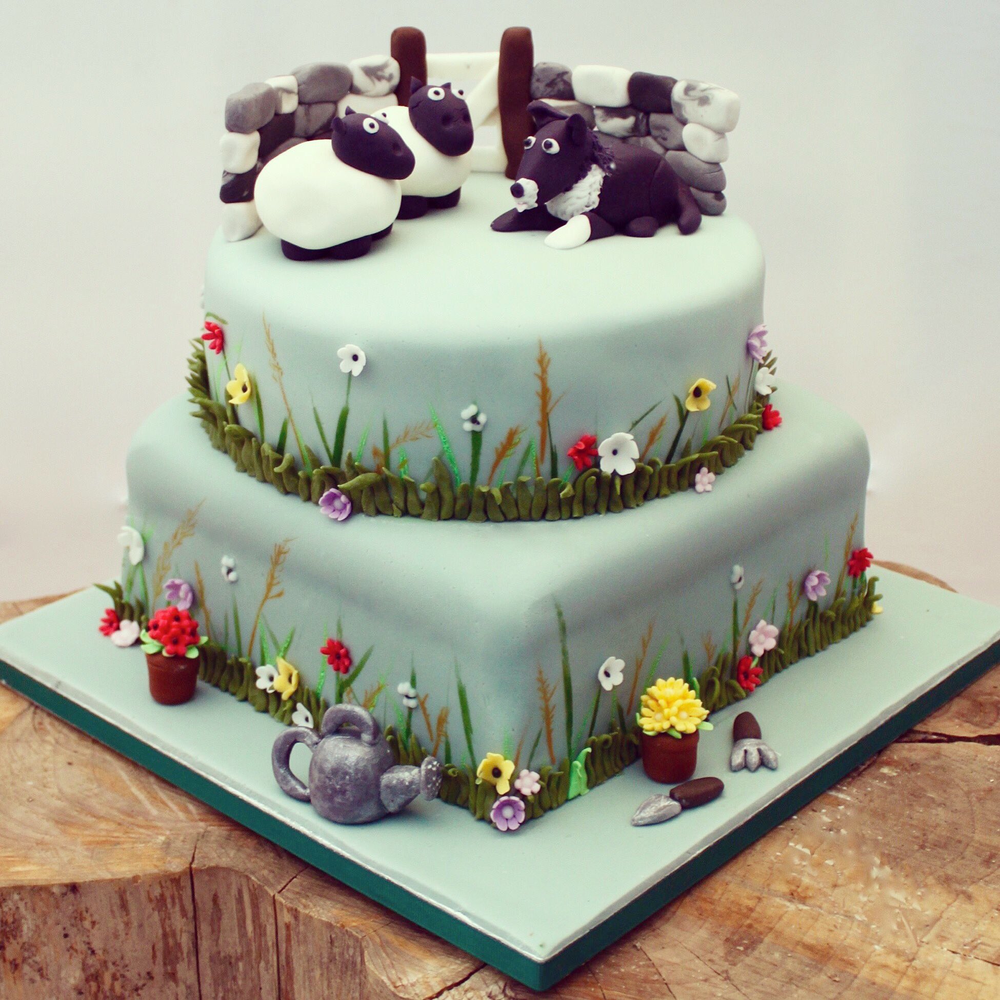 Sheepdog cake on sale