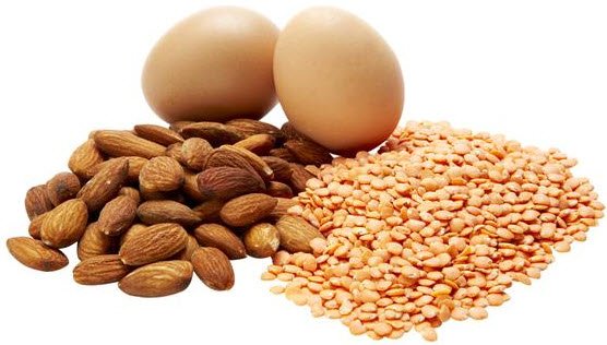 protein adalah nutrisi yg terbukti memodulasikan fungsi kekebalan tubhu <a href="/murykuswari/">Avery</a> <a href="/KEMENPORA_RI/">KEMENPORA RI</a> #exercise