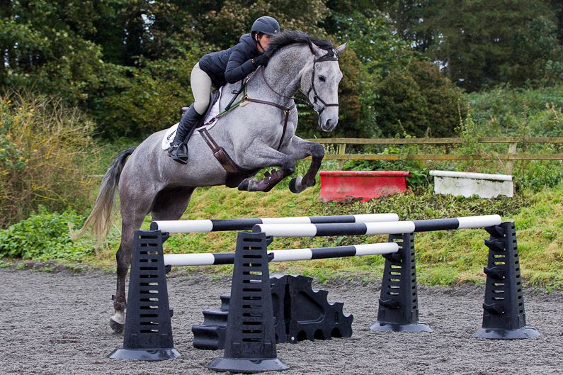ClassicShowjump's tweet photo. Teach your #horse to stretch by building a spread https://t.co/4fWzcBQHzy https://t.co/tAB50HuSyD