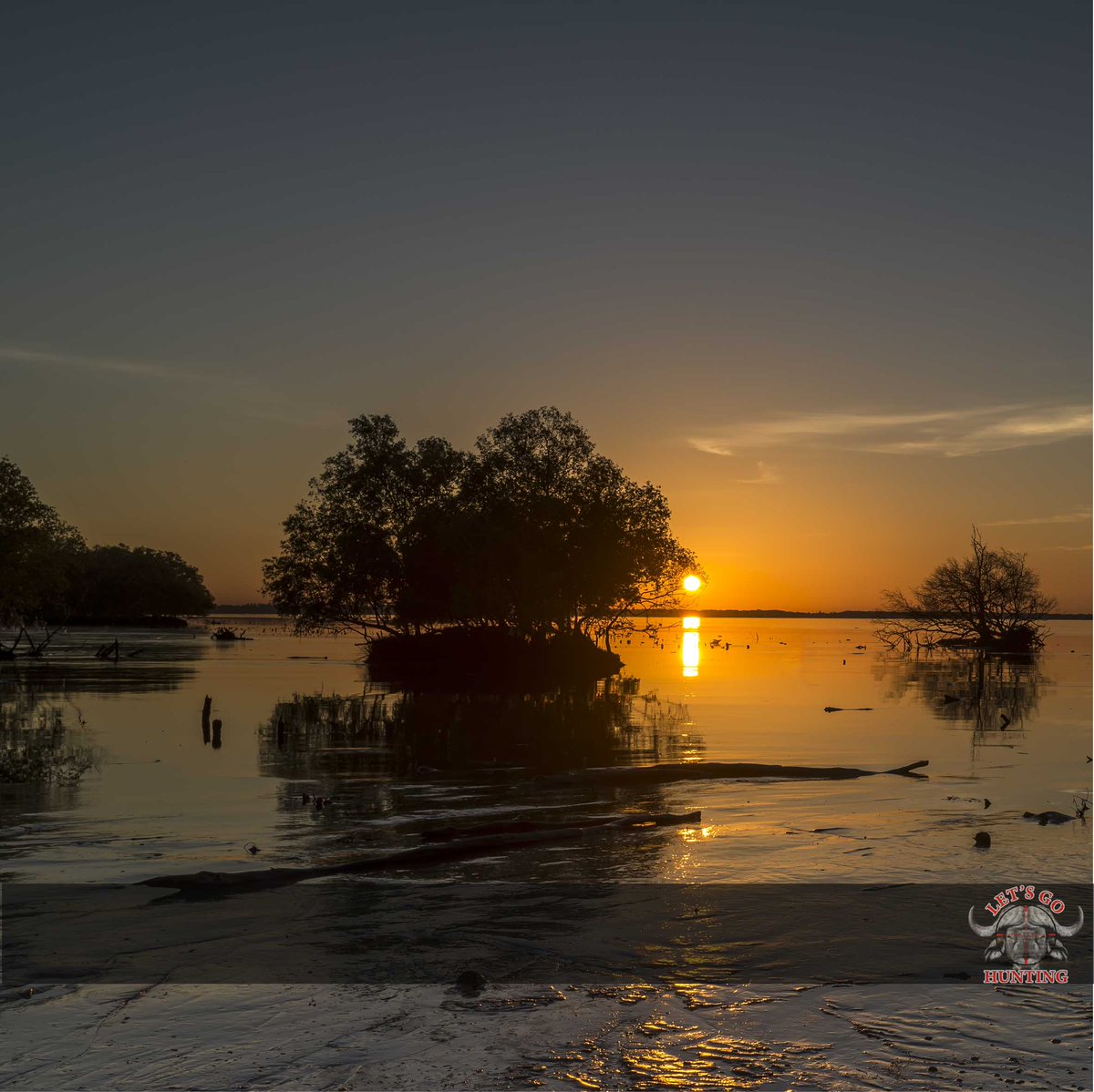 LetsGoHuntingSA's tweet image. Thank You for the rain! #GautengFloods #FillUpTheRivers #LetItRain