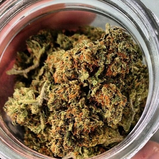 GUEZ420's tweet photo. WAKE N BAKE - EVERYTIME
#noturnunstoned #güz
#weedporn #buffibuffi https://t.co/Lvlh1cfWS3