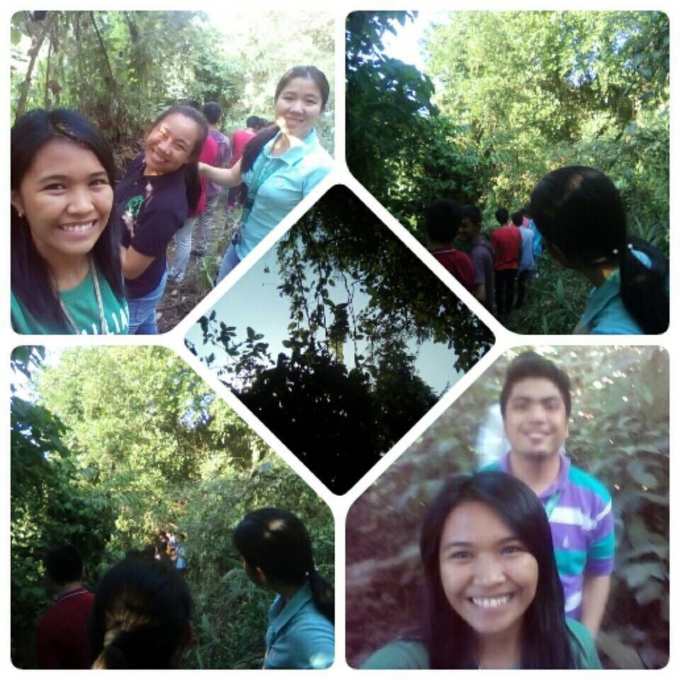 TreePlantingbot's tweet image. by itsmedannielyn ift.tt/1RQWQsA #treeplanting
#EngWeek
#DLSUECO