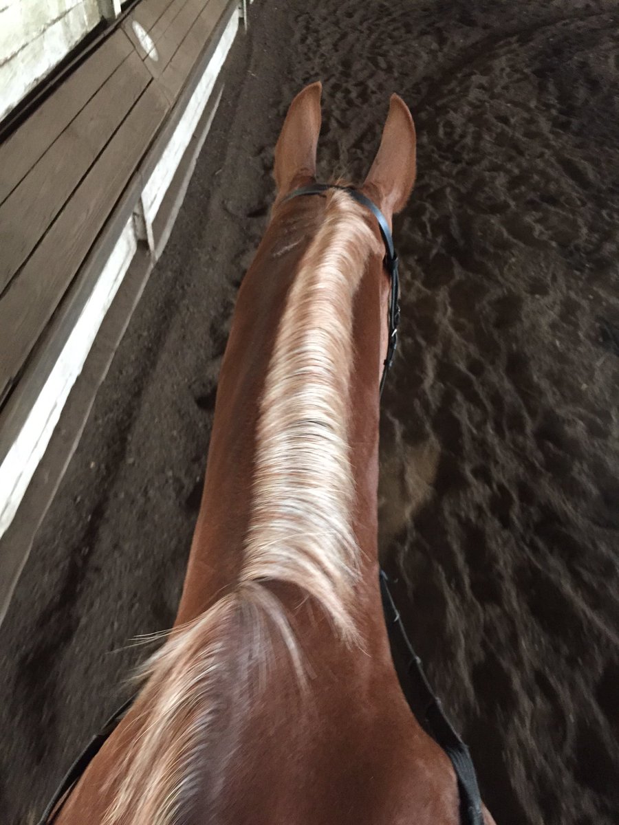 luck1104's tweet photo. #rideforolivia https://t.co/fw2zLYlKcA