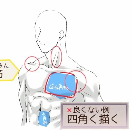 筋肉の描き方のtwitterイラスト検索結果 筋肉の描き方のtwitterイラスト検索結果