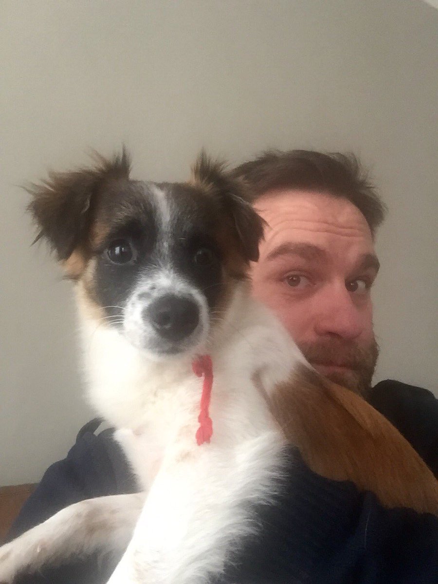 O meu afilhado Xico vem passar o dia comigo! 🐶❤️