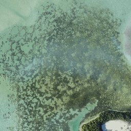 DRONEFEST2016's tweet photo. #Drones Spot Swarms of Sharks Around Stunning Island https://t.co/67F2uxjG2A via @NatGeo #aerialphotography https://t.co/sWjyHzlr8k