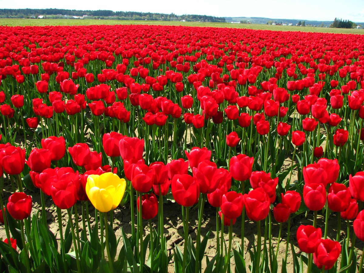 We zijn terug van nooit echt weggeweest! Druk als altijd, nu met een film over #duurzaamheid! DARE TO BE DIFFERENT!