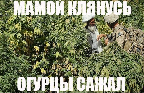 chernova2016's tweet image. openkontent.ru/igry-dlya-andr…