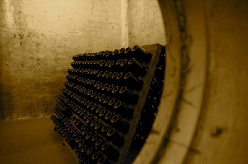 To Be or not To Be a Winemaker buff.ly/1LcknFd #winedistributor #spiritimporter #beerdistributor