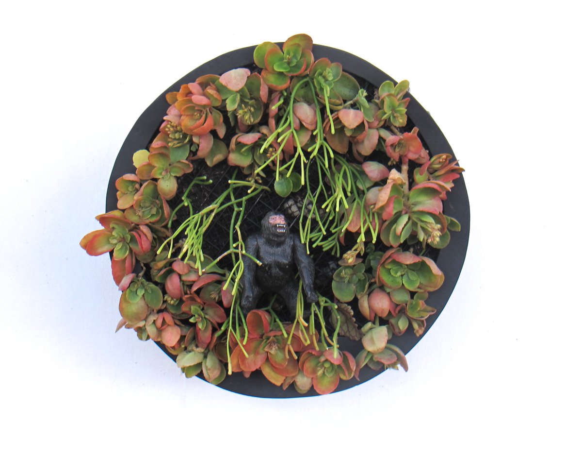 Honevo's tweet image. ITURI SURVIVAL - CUADRO BIONICO #ARTEBIONICO #BIONICART #CUADROBIONICO #BIONICPAINTING #ECO #GREEN #SUSTAINABLE #ART