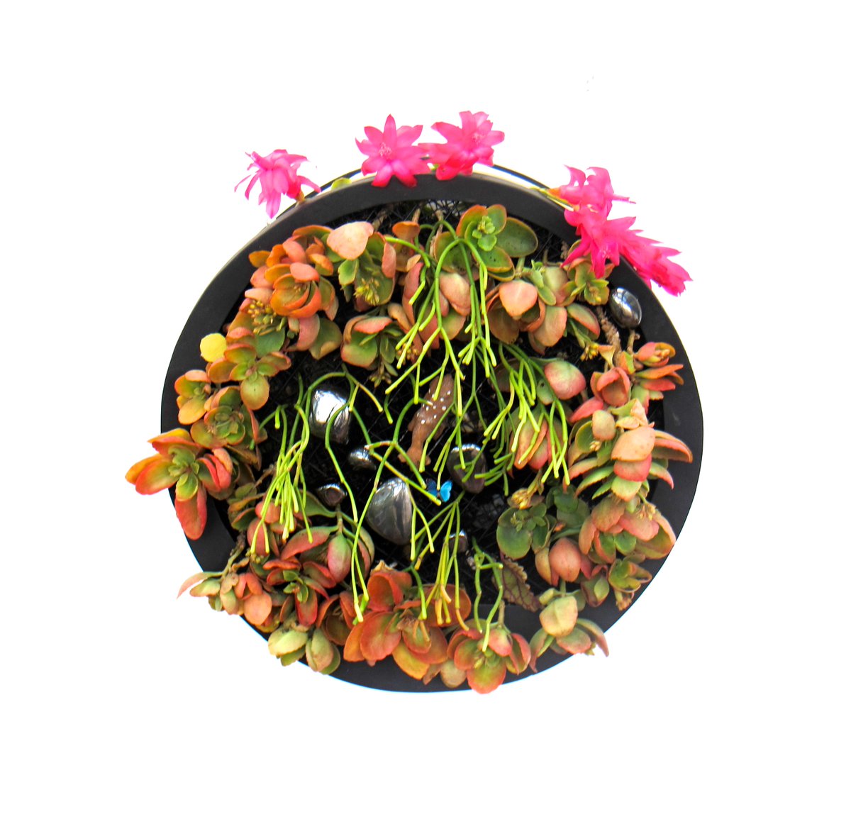 Honevo's tweet image. BIONIC PAINTING - DREAM DIARY XXIII #BIONICPAINTINGS #BIONICART #CUADROSBIONICOS #BIOARTE #HONEVO #DESIGN #ECO #ART