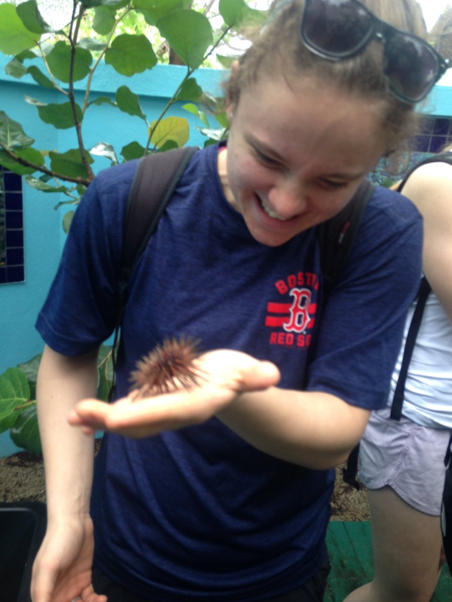 MissBarila's tweet photo. Experiential learning rocks! #nhsprojectweek @NHSHuskies https://t.co/8LiAEXRv64
