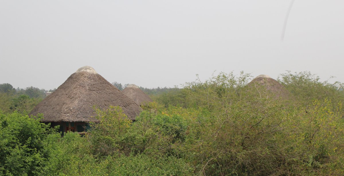 EngiriLodge's tweet photo. The Real African Bush Experience #AfricanJungle #Campsite #LocalCuisune #GameDrives #NatureWalks #CulturalTours https://t.co/j6ZvYSI8Ox