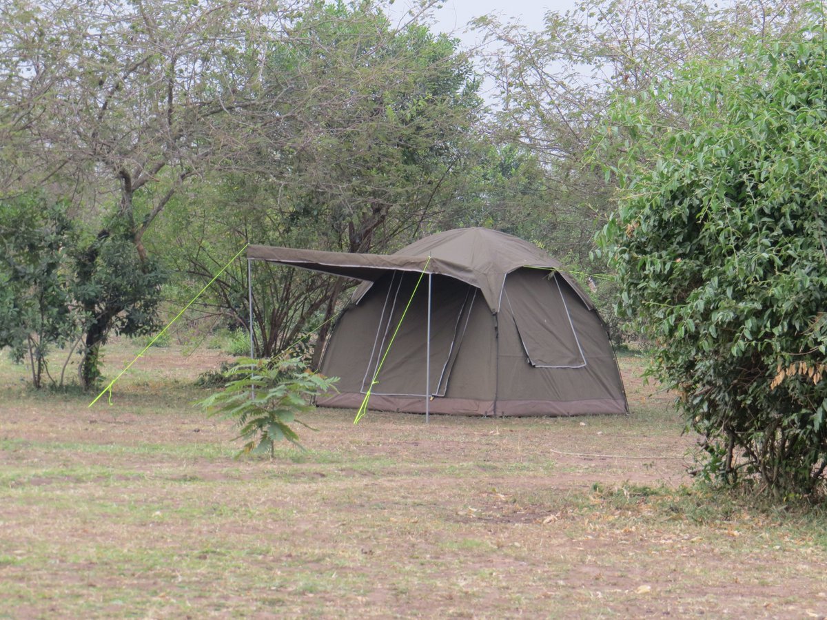 EngiriLodge's tweet photo. The Real African Bush Experience #AfricanJungle #Campsite #LocalCuisune #GameDrives #NatureWalks #CulturalTours https://t.co/j6ZvYSI8Ox