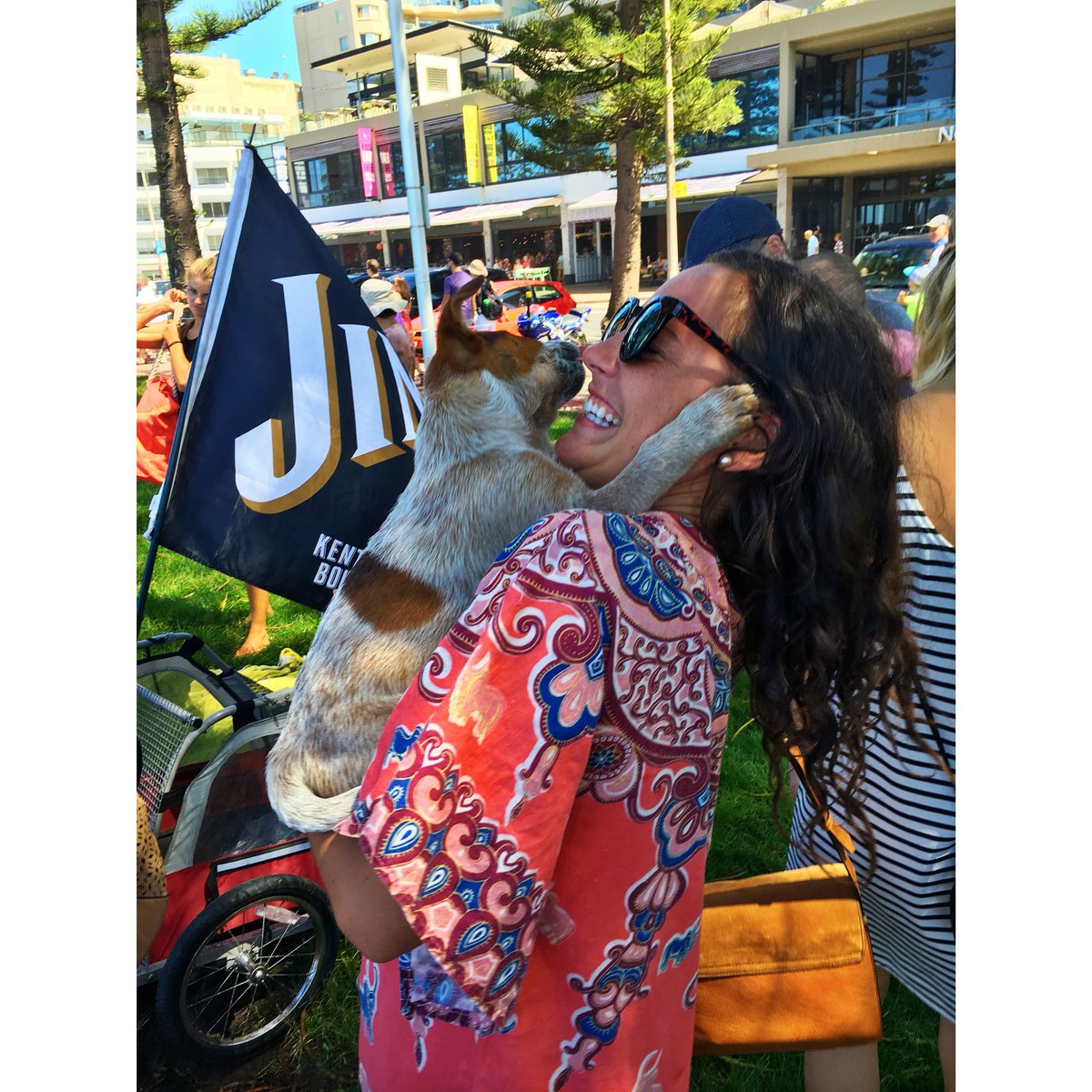 fitsussa's tweet photo. Stressed at work, sick of winter/just plain grumpy?Just remember.puppies exist&amp; they greet strangers like this🐶💓#wcw https://t.co/3juAvSiEbj