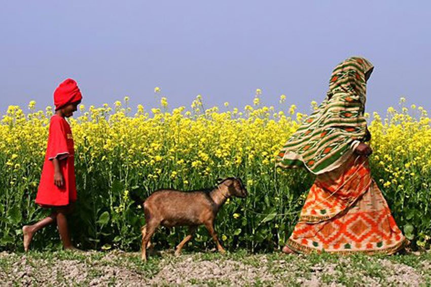 Dev_Analytics's tweet photo. Economic, social and cultural issues & care work at home are hampering #femalelaborforceparticipation finds #hdr2015 https://t.co/5RpdDRGFtL
