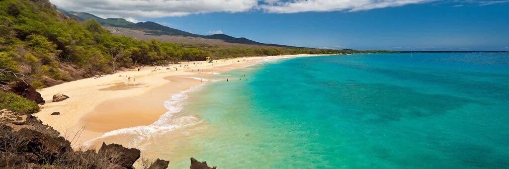 tmbIrpics's tweet photo. Maui 🌴🌅 https://t.co/xmgOkynzIt