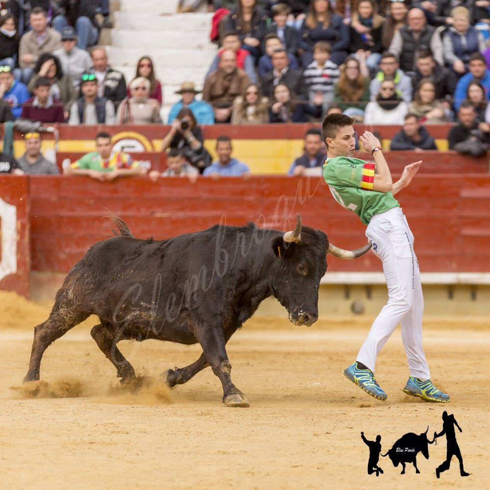 elembroque's tweet photo. Ajustando al máximo en #Castellón #mariolloret
#finca #campobravo #campo #toreo #traficion… https://t.co/bk5nsSwb3G https://t.co/Bq9YKiVjFz