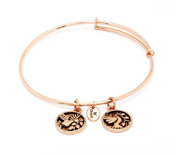 hynesjewellers's tweet photo. Looking for a Confirmation gift? These Beautiful Dove #Chrysalisbangles are perfect! @lovechrysalis #wexford #bangle https://t.co/csQw1ykKvY