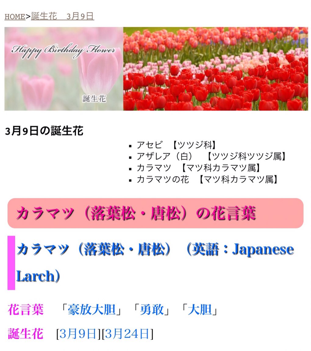 慈雨ほち Sinistermagenta Twitter
