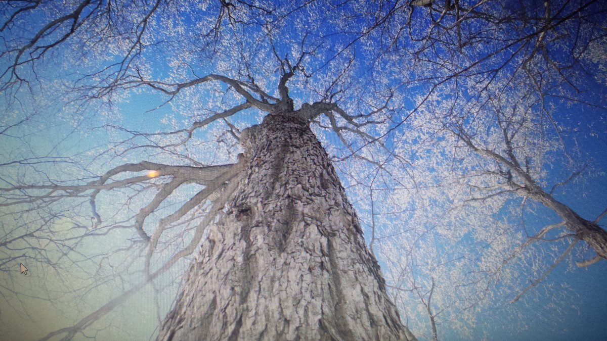 FranPirrie's tweet photo. I am small and insignificant but at your feet I feel a part of something so much larger than myself. # nature #trees https://t.co/oPby8sVtIy