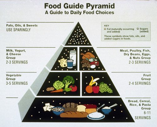 Spot the difference. 

The one on the left is how we should eat, on the right is how we are told to eat. 

#mislead