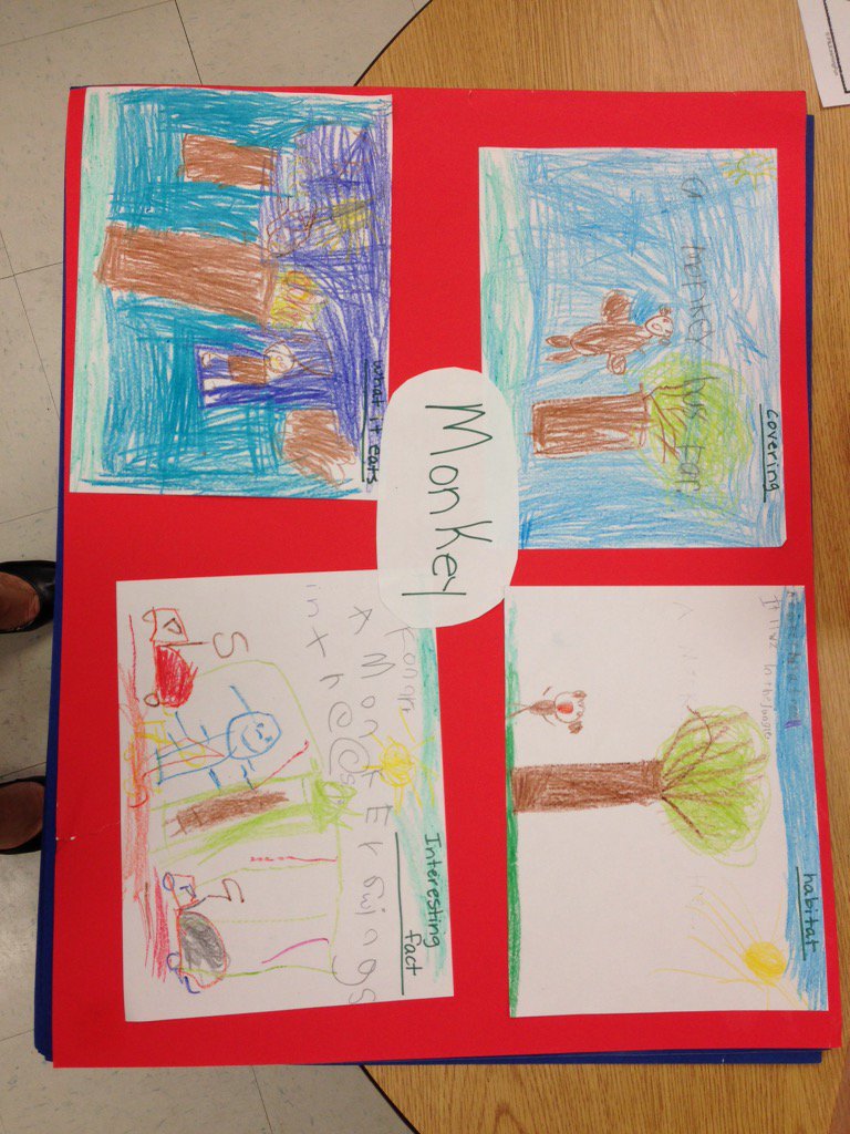 LaherrerLaura's tweet photo. Culmination of Kindergarten research on animals! #vcsscience https://t.co/kRlRHzJ6al