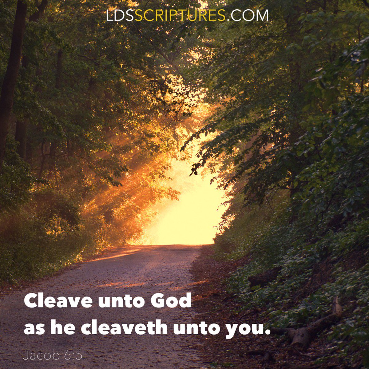 ldsscriptures's tweet photo. Cleave unto God as He cleaveth unto you. Jacob 6:5 #scriptureseveryday #lds #mormon https://t.co/l30438y5q6 https://t.co/mZvWJWFgdb