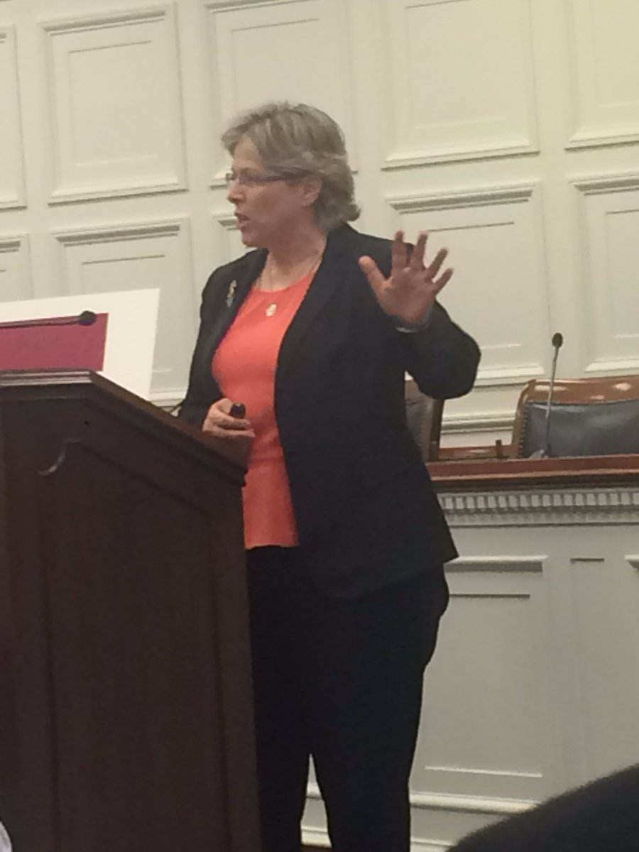 HLC_DC's tweet photo. Marilyn Staniland, @novonordiskus, details the human and economic toll of diabetes. #VIableSolutions https://t.co/e5M8rBXLBE